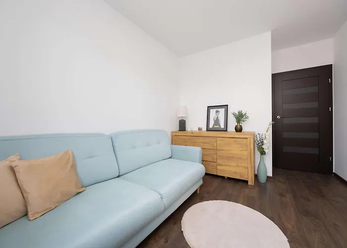 Spacious In With Balcony By Renters Apartment *